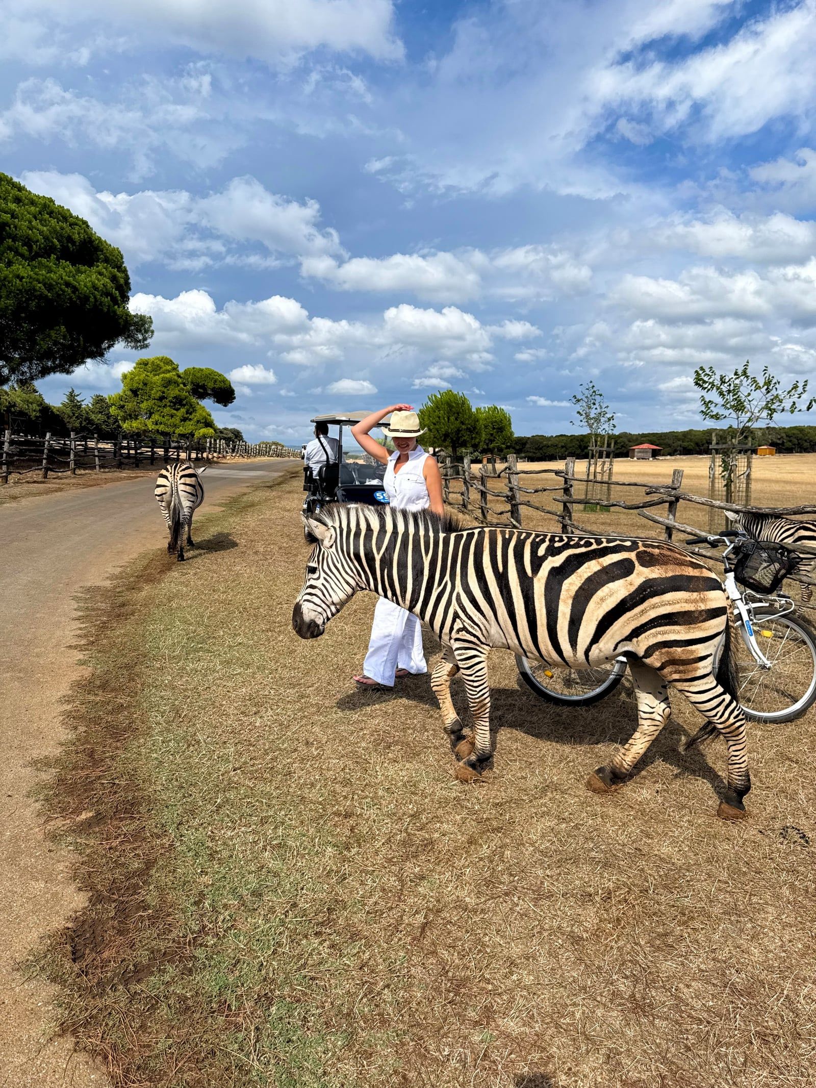 Besucherfoto einer Nationalpark Brijuni Tour